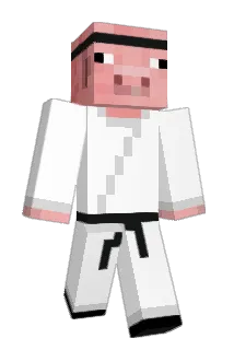 Decellas Minecraft avatar full body