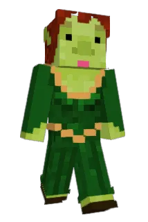 Declan33 Minecraft avatar full body