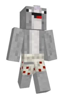 Deechie Minecraft avatar full body