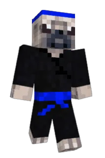 Deefundo Minecraft avatar full body