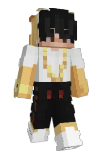DefinitelyNash Minecraft avatar full body