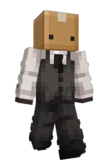 Defnot_Toxix Minecraft avatar full body