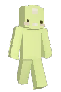 DefraNL Minecraft avatar full body