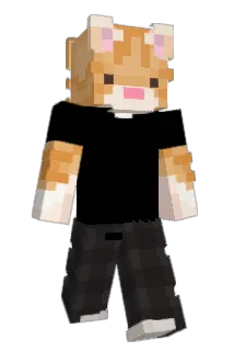 DegtoCraft Minecraft avatar full body