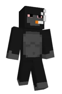Dejimi Minecraft avatar full body
