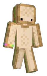 Custom render preview