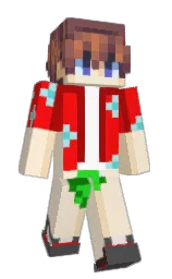 Custom render preview