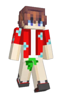 Dekkig Minecraft avatar full body