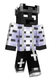 Delfinn_ Minecraft avatar full body