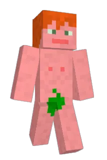Delieth Minecraft avatar full body