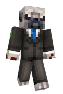 DeliveryPug Minecraft avatar full body