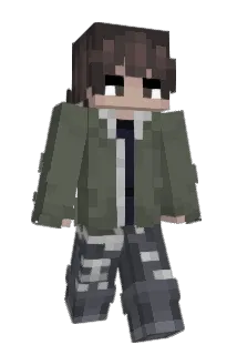Delsulfa Minecraft avatar full body