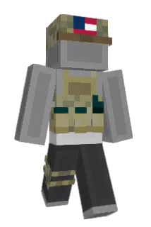 Demacratic Minecraft avatar full body