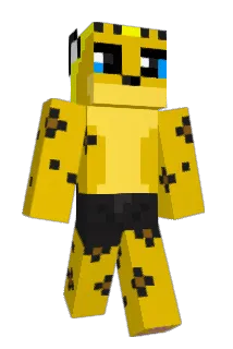 DemiKobi Minecraft avatar full body