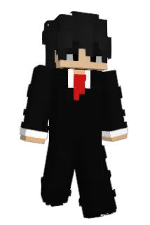Den_1324 Minecraft avatar full body