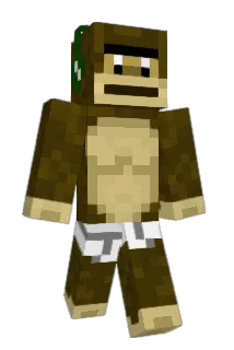 DenimLP Minecraft avatar full body