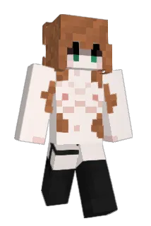 Dennacara Minecraft avatar full body
