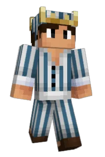 DensBayo Minecraft avatar full body