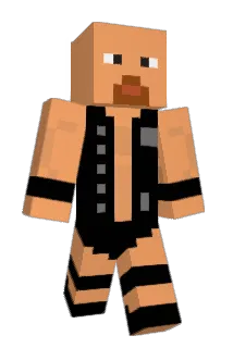 Depositary Minecraft avatar full body