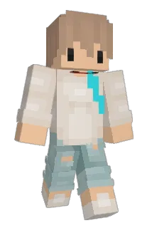 DerChipFresser Minecraft avatar full body