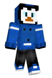DerEchteSteini Minecraft avatar full body