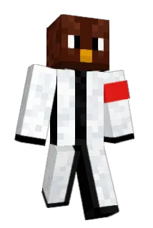 DerIchSeiende Minecraft avatar full body