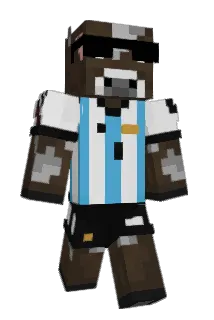 DerIndischeSack Minecraft avatar full body