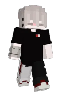 DerPolake Minecraft avatar full body