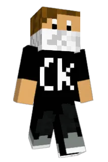 Der_Muenzkopf Minecraft avatar full body