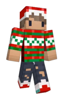 DerpyDarkPanda Minecraft avatar full body