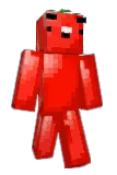 DerpyPigeon Minecraft avatar full body