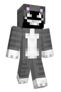 Derpygamer102 Minecraft avatar full body
