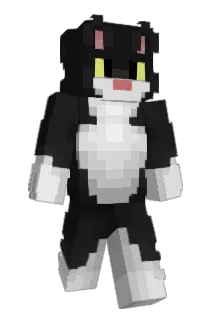 DerxM Minecraft avatar full body