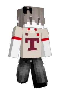 Describiendote Minecraft avatar full body