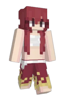 Desigoile Minecraft avatar full body