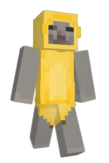 Desnaa Minecraft avatar full body