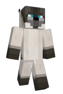 DestinyPixel Minecraft avatar full body