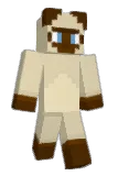 Detomoni Minecraft avatar full body