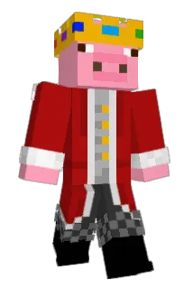 Detoxi_ Minecraft avatar full body