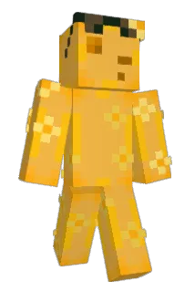 DevVRTX Minecraft avatar full body