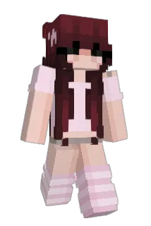 Developgirl Minecraft avatar full body
