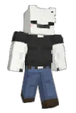 Dewenacheduh Minecraft avatar full body