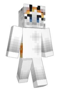 DewiVlinder Minecraft avatar full body