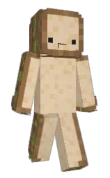 Custom render preview