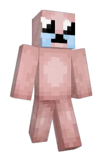 Deyubry Minecraft avatar full body