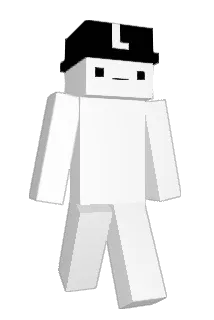 Df3w Minecraft avatar full body
