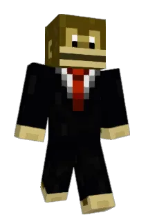 Dgj11 Minecraft avatar full body