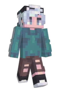 Dhruve101 Minecraft avatar full body