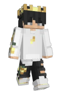 Di3s3lin Minecraft avatar full body