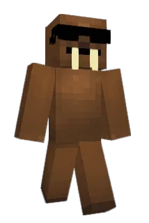 DiWalrus Minecraft avatar full body